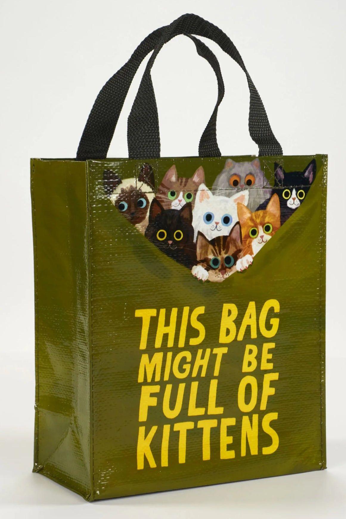BAG FULL OF KITTENS