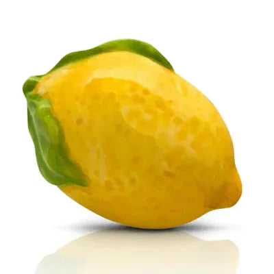 NORA FLEMING LEMON SQUEEZE MINI A 203