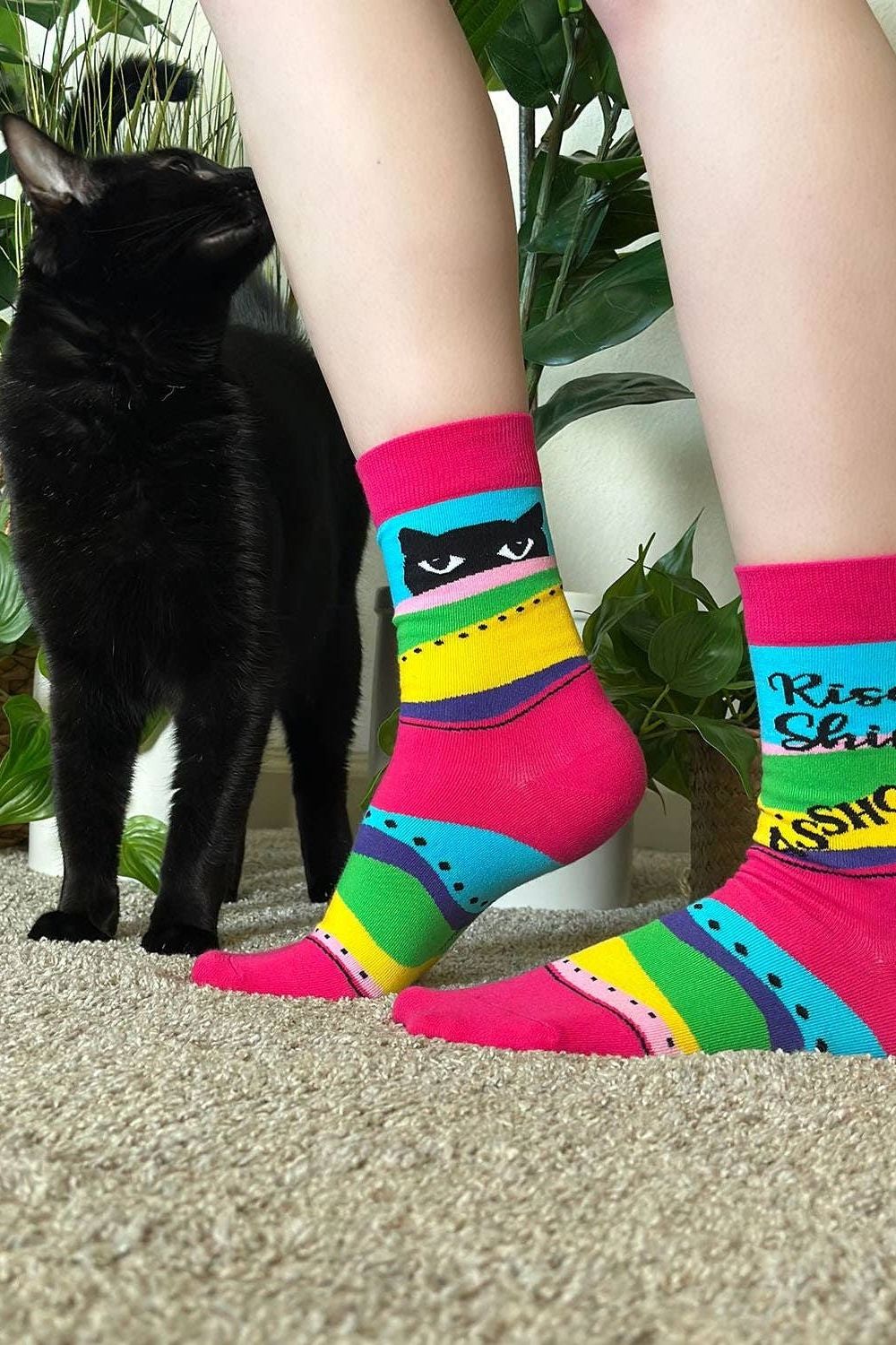 Rise and Shine Asshole Women's Crew Socks With Cats