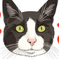 Cats Because People Suck Die Cut Sticker 