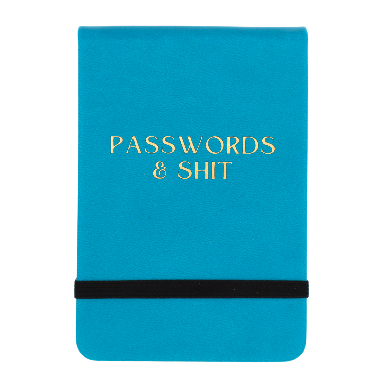 Blue notebook with 'Passwords & Shit' text on a white background