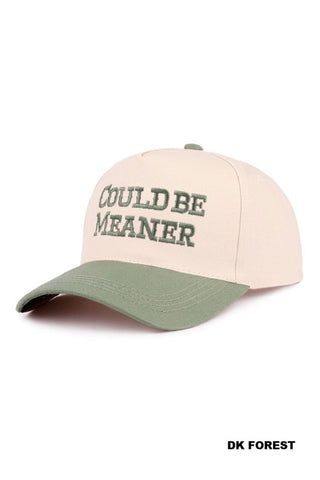SNARKY SAYING HATS