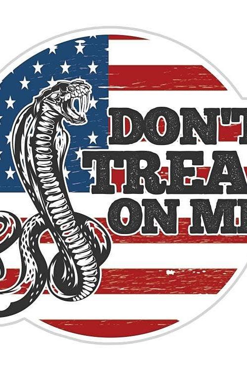 Don't Tread On Me American Flag Sticker: (3.2" W x 2.8" H)