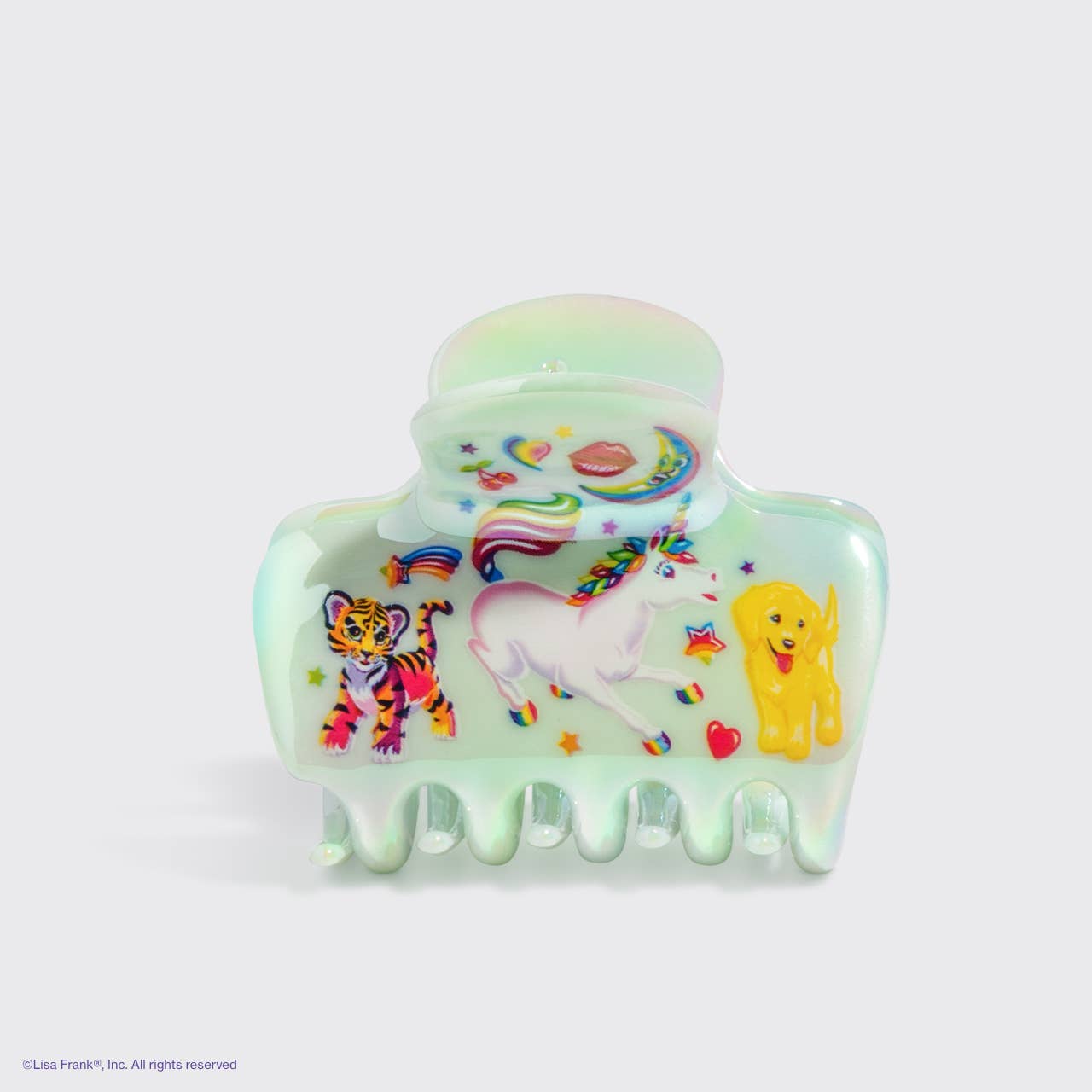Slide image