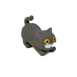 Barnyard Cats