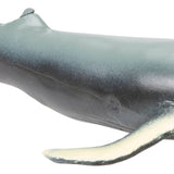 Ocean Squishimals, Sharks, Dolphins, Squishy Toy 1748