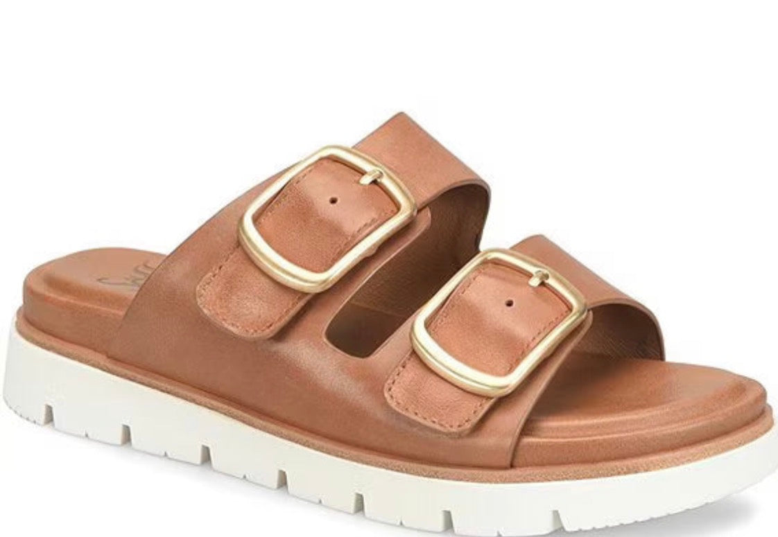 Brown sandal with gold buckles on a white background