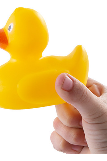 BIG DUCK