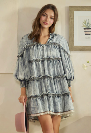 ELLA DENIM DRESS