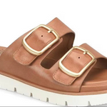 Brown sandal with gold buckles on a white background
