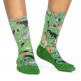 Women's Dogs Pooping Socks