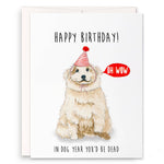 Birthday card with a dog wearing a party hat and text 'Happy Birthday! In dog year you'd be dead'.