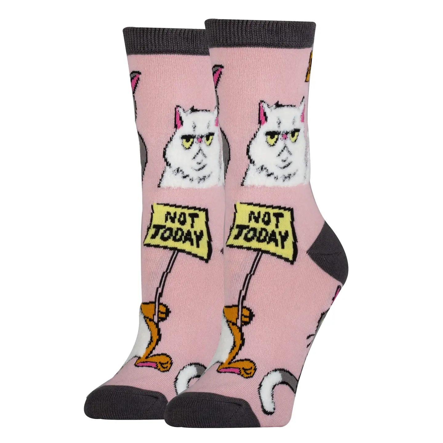 Pink socks with a grumpy cat design and 'Not Today' sign on a white background